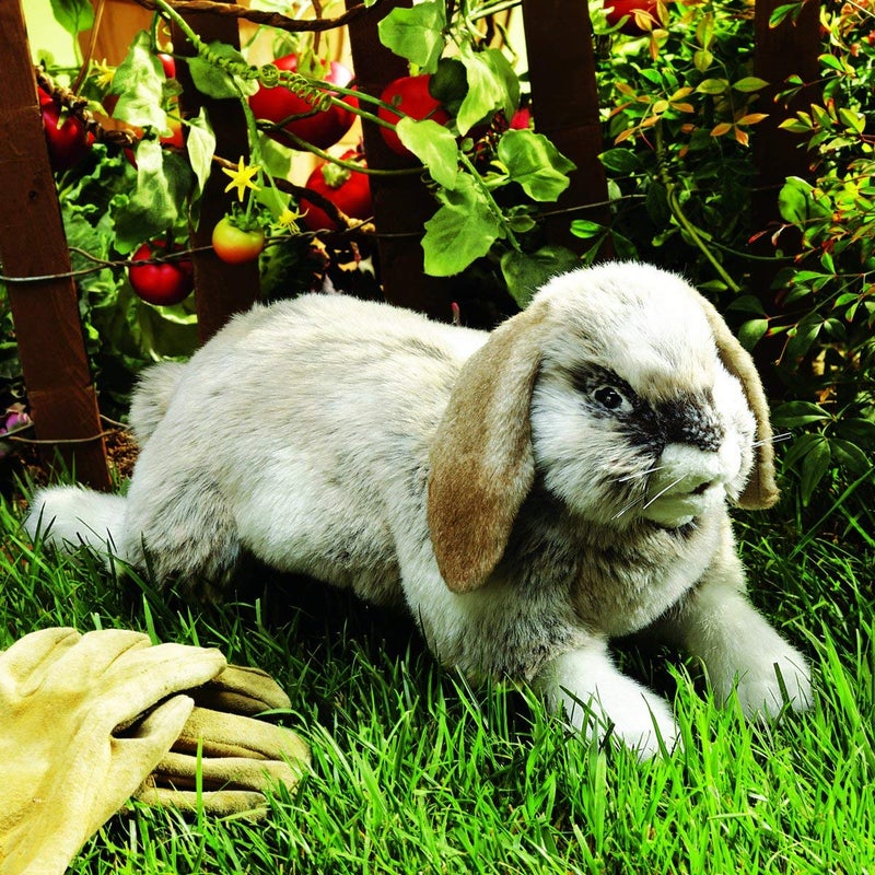 Folkmanis Holland Lop Rabbit Hand Puppet - Image 3