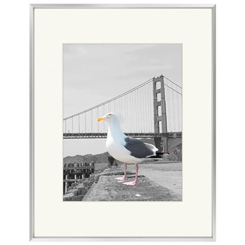 Frametory 16x20 Metal Picture Frame with Mat for 11x14 Picture  Real Glass Aluminum Photo Frame Collection Silver 1 Pack
