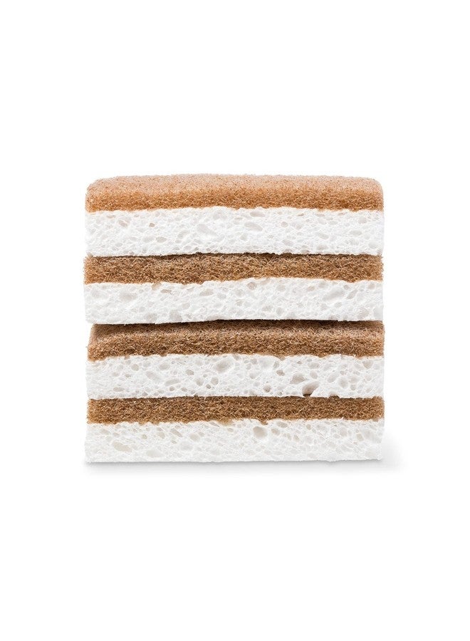 فل سيركل إسفنجات تنظيف الجوز من فول سيركل إن أ نوت شيل، غير قابلة للخدش، مجموعة من قطعتين (عبوة من 6 قطع) - Image 2