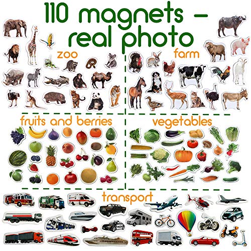 magdum 110 Fridge Magnet for Toddlers in Gift Tin Box Kids Magnets for Fridge - Realistic Magnetic Animals for Refrigerator - Safe Educational Materials for Baby: Zoo, Farm, Fruits, Vegetables, Transport - Image 4