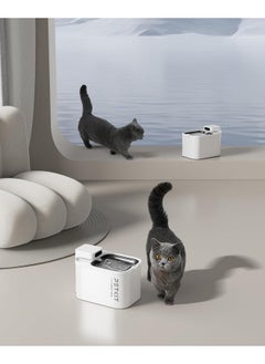 PetKit Eversweet Max Cordless Cat Water Fountain, 105 Fl Oz/3L Pet Water Fountain For Cats Dogs Inside, Automatic Cat Water Dispenser With Replacement Filter, App Control  - Image 2