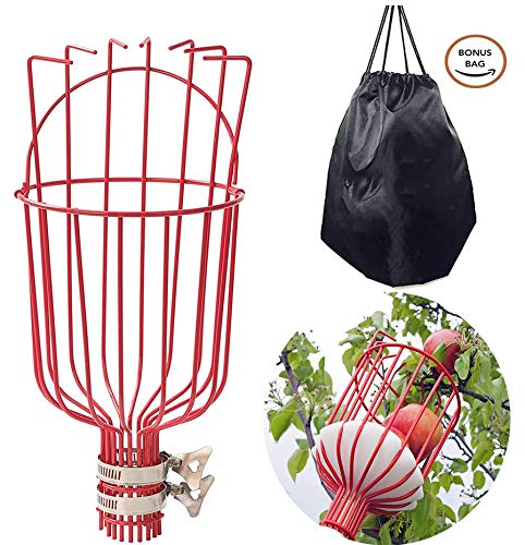 COCONUT Fruit Picker Tool, Fruit Picker with Basket and Pole Easy to Assemble & Use Fruits Catcher Tree Picker for Getting Fruits(5ft) - Image 2