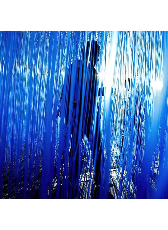 PartyWoo - 2 Pcs Royal Blue Foil Fringe Curtain Metallic Foil Tinsel Fringe Backdrop Door Fringe For Birthday Wedding Party Photo Backdrop Blue Streamers Party Decorations - Image 1