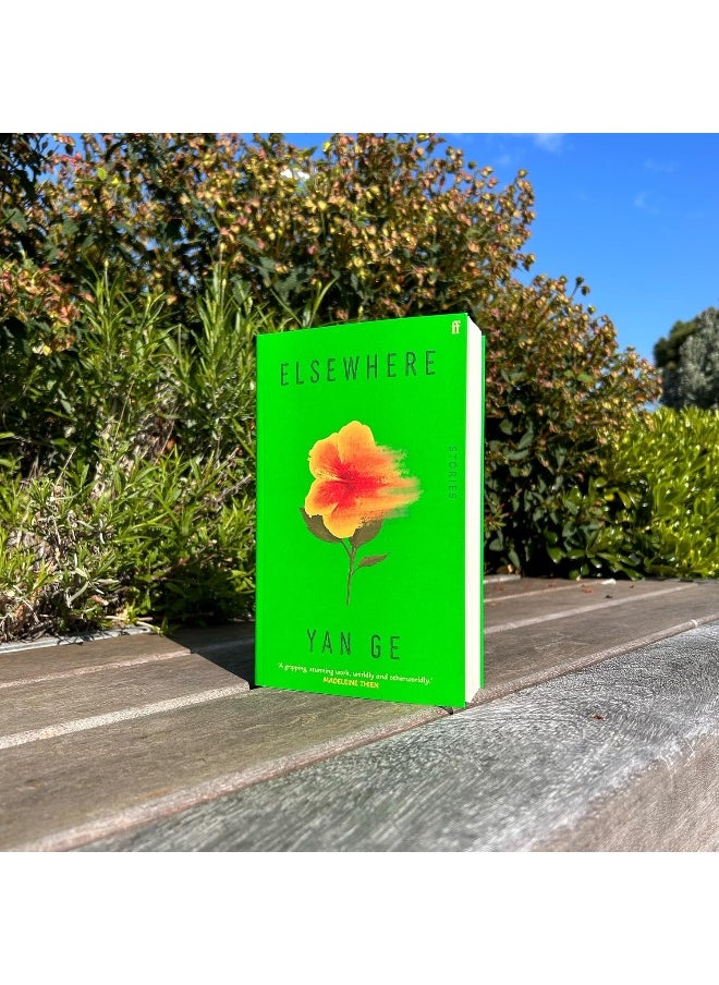 Elsewhere: 'Wonderful writing' Sarah Hall  - Image 3