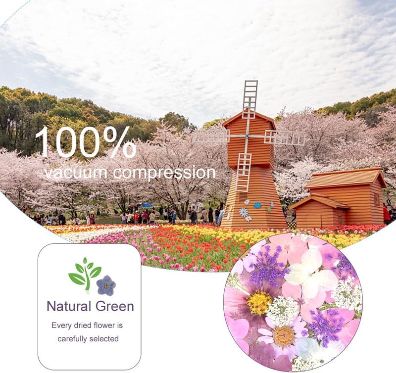 Eshow 82Pcs Natural Pressed Dried Flowers Resin, Dry Flowers for Resin Accessories with Tweezer, Dried Flower for Scrapbooking DIY Art Crafts, Epoxy Resin Jewelry Molds, Candle, Nails Décor, Craft Making - Image 4