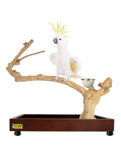CHEWY BEAK Bird Stand Table Top Natural wooden Parrot Play Stand Indonesian Java wood Tree Perches with Stainless steel feeder medium size  - Image 1