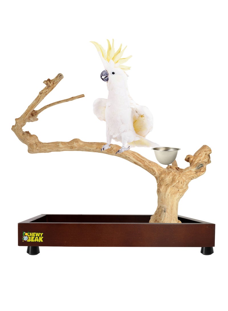 CHEWY BEAK Bird Stand Table Top Natural wooden Parrot Play Stand Indonesian Java wood Tree Perches with Stainless steel feeder medium size - Image 1