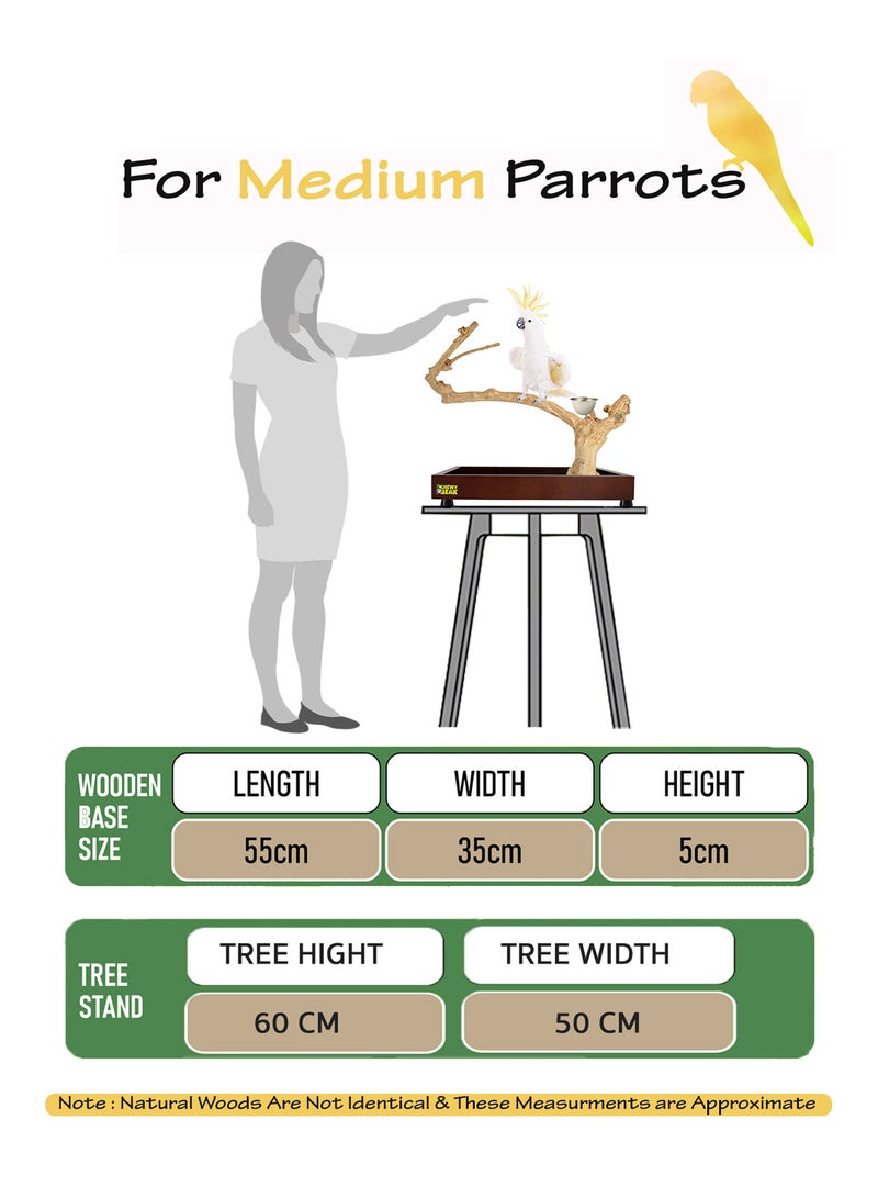 CHEWY BEAK Bird Stand Table Top Natural wooden Parrot Play Stand Indonesian Java wood Tree Perches with Stainless steel feeder medium size - Image 2