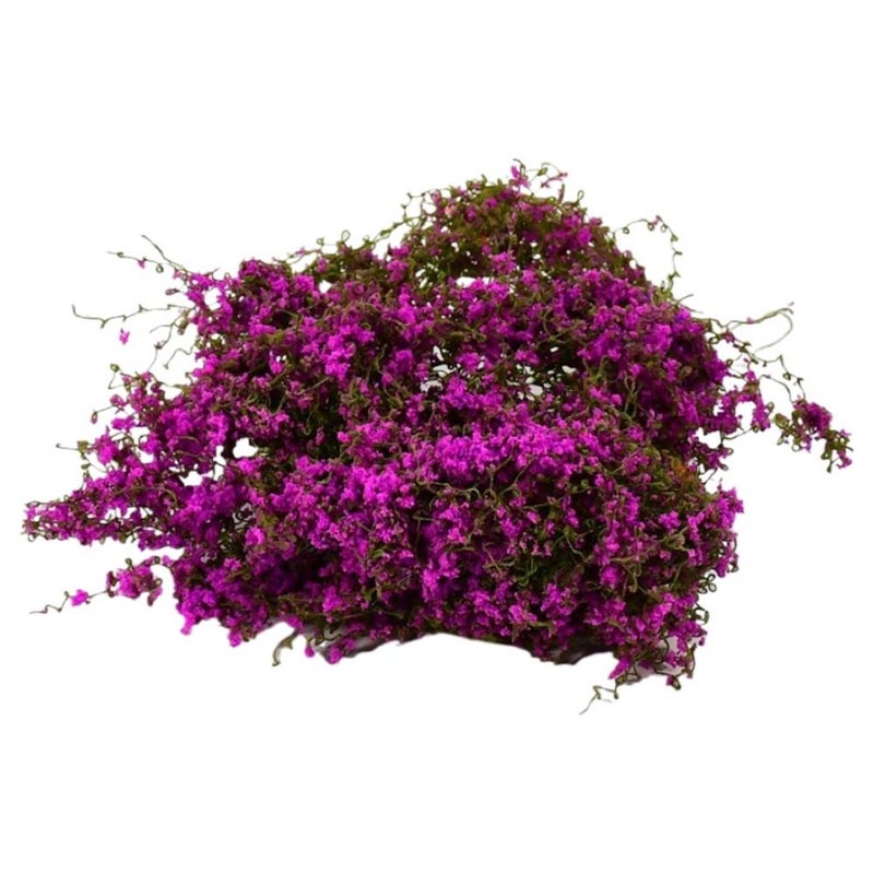 Miniature simulated landscape of climbing vines, ivy, leaves, wall models, cotton thread, multi-colored roof, moss, and green plants - Image 1