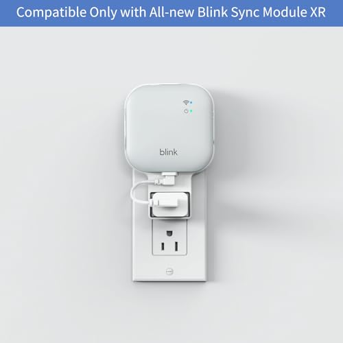 Mamerry 256GB MicroSD Card and Sync Module XR Mount NoDrilling Mount for Blink OutdoorIndoor Security Cameras USBC Cable SD Card Reader Sync Module XR Not Included - Image 3