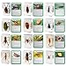 KSVMOAG 20 Pieces Insect in Resin Bug Preserved Specimen Collection Paperweights Resin Insects Various Insect Specimen for Office Men Women Biology Science Teacher Education Bug Collection Supplies - Image 3