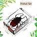 KSVMOAG 20 Pieces Insect in Resin Bug Preserved Specimen Collection Paperweights Resin Insects Various Insect Specimen for Office Men Women Biology Science Teacher Education Bug Collection Supplies - Image 2