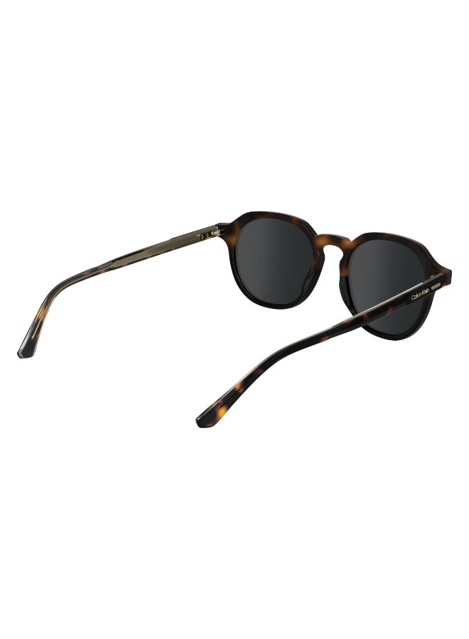 CALVIN KLEIN FULL RIM ACETATE CALVIN KLEIN SUN CK24538S N 5120 (233) HAVANA/BLACK - Image 5