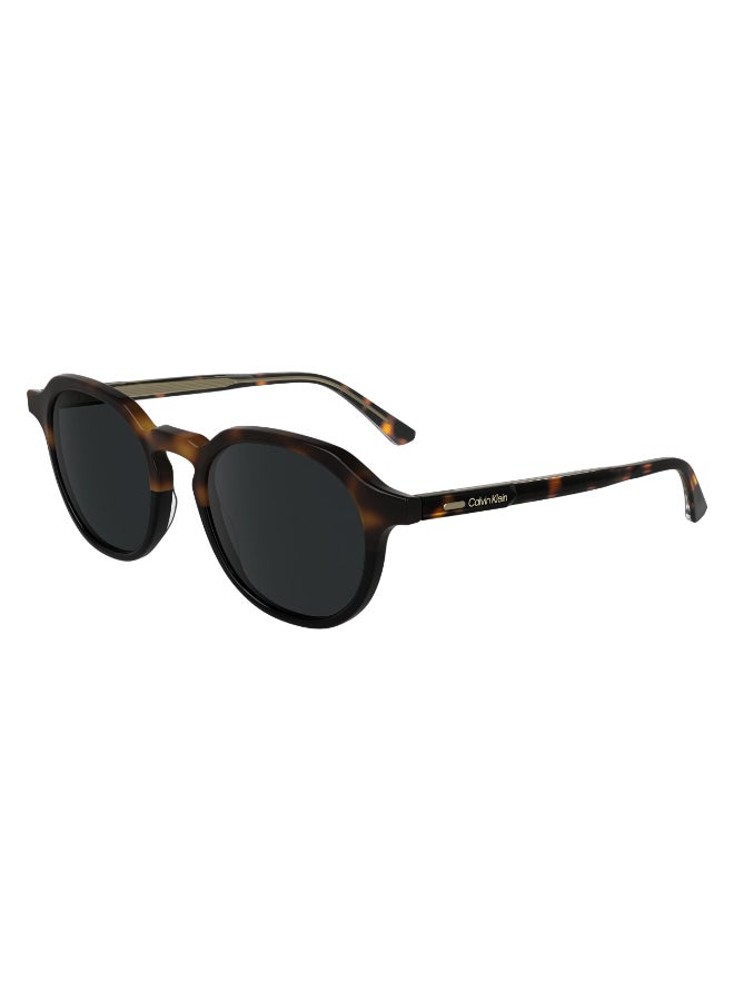 CALVIN KLEIN FULL RIM ACETATE CALVIN KLEIN SUN CK24538S N 5120 (233) HAVANA/BLACK - Image 2