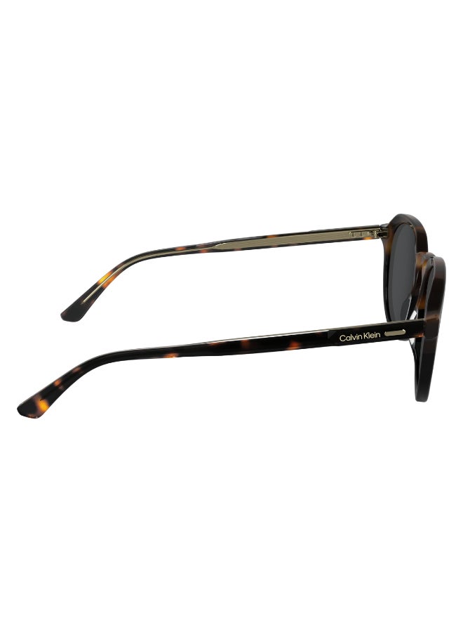 CALVIN KLEIN FULL RIM ACETATE CALVIN KLEIN SUN CK24538S N 5120 (233) HAVANA/BLACK - Image 4