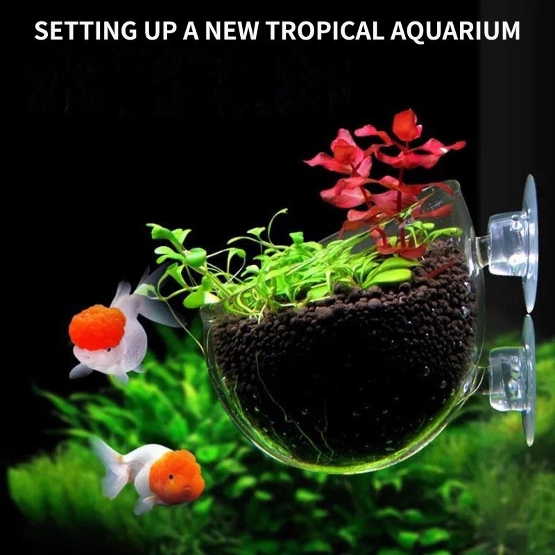 GLEFLE 2 PCS Aquarium Plant Holder Top Hanging Fish Tank Plant Pot Aquarium Planter Cups for Water Feature Decoration - Image 2