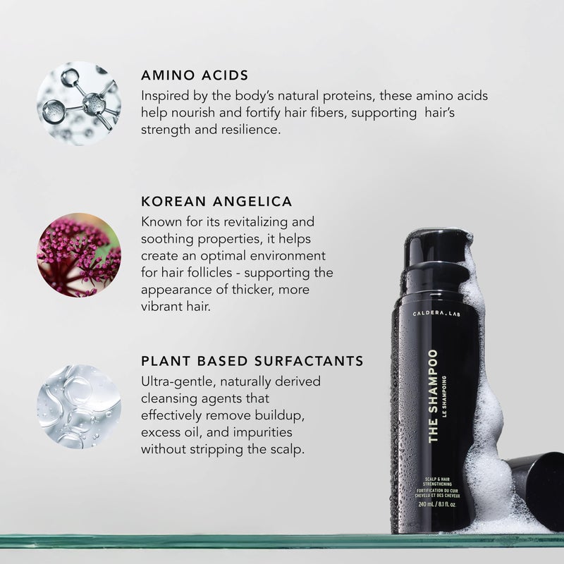 Caldera + Lab The Shampoo | Menâ€™s Shampoo for Healthy Hair, Sulfate-Free Daily Cleanser, Dermatologically Tested - All Hair Types - Image 3