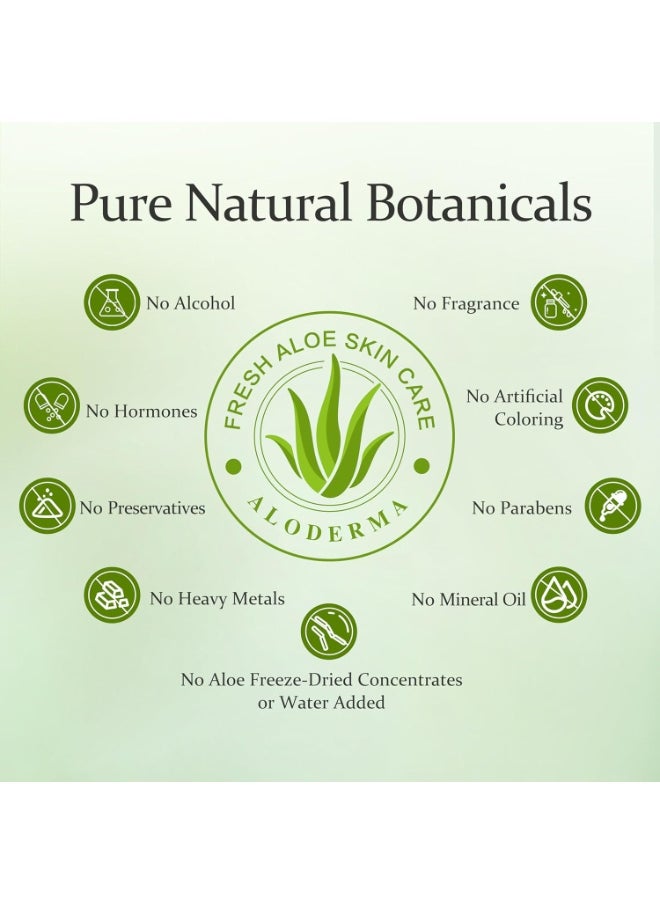Aloderma Aloderma Aloe Hand Cream with 66% Organic Aloe Vera for Men & Women, Non-Greasy Gentle Hand Cream for Dry, Cracked Hands, Moisturizing Aloe Working Hands Lotion with Shea Butter for Soft Hands, 2.1oz  - Image 2
