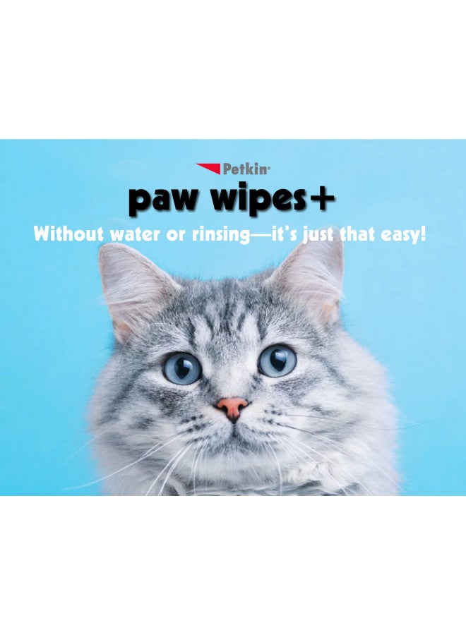 Petkin Paw Wipes Plus, 100 Orange Scented Wipes - Absorbent Pet Paw Wipes Remove Daily Dirt & Odors - Enriched with Paw Balm Protectant - Easy to Use Pet Wipes for Dogs, Cats, Puppies & Kittens - Image 4