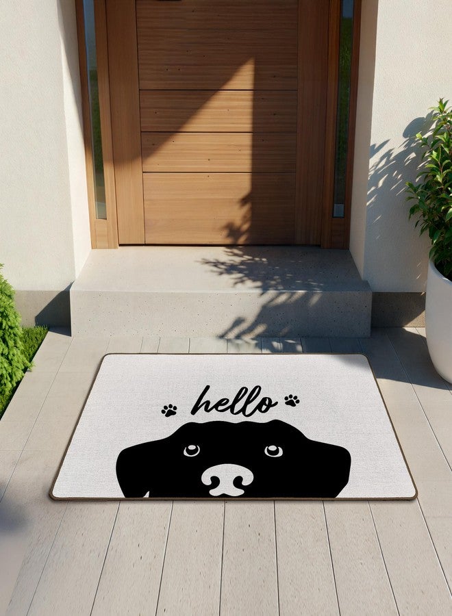 Tzhim Funny Hello Door Mat, Dog Gifts for Women Owners Front Door Mat Outside Indoor Entrance, Dog Lovers Gifts, Funny DogDecorative Outdoor Doormats for Home Bedroom Entryway, 17x29in - Image 2