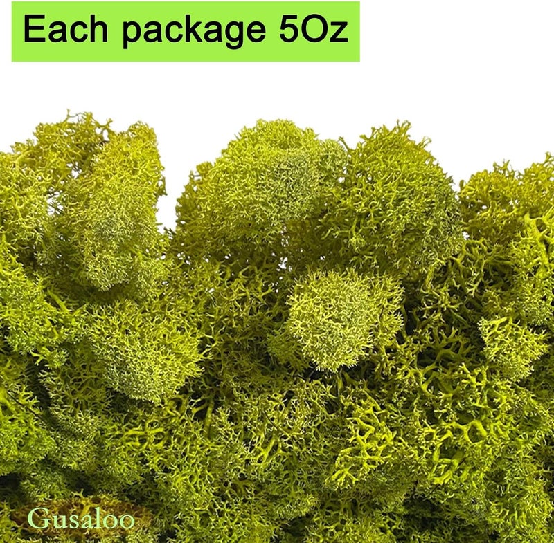 Gusaloo Preserved 5oz Moss Artificial Moss Natural Fresh Green Moss for Craft Handicraft Arts Floral Project Wall Decor Table Decor Wedding Centerpieces Garden Terrariums Decoration - Image 5