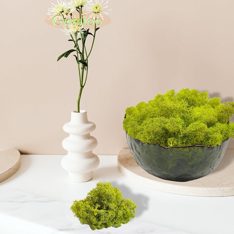 Gusaloo Preserved 5oz Moss Artificial Moss Natural Fresh Green Moss for Craft Handicraft Arts Floral Project Wall Decor Table Decor Wedding Centerpieces Garden Terrariums Decoration - Image 4
