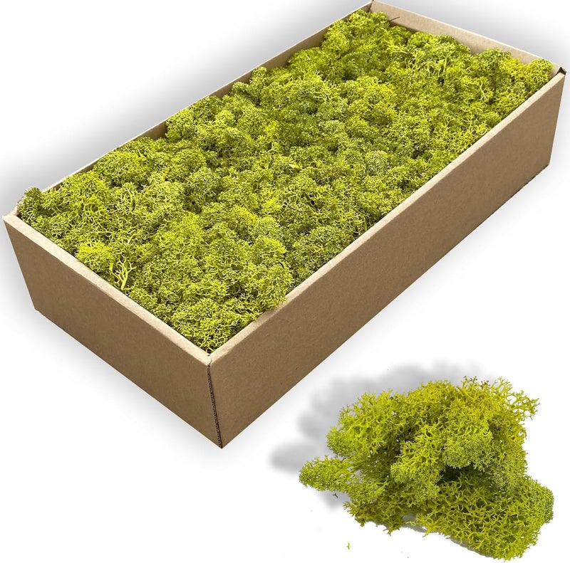 Gusaloo Preserved 5oz Moss Artificial Moss Natural Fresh Green Moss for Craft Handicraft Arts Floral Project Wall Decor Table Decor Wedding Centerpieces Garden Terrariums Decoration - Image 1
