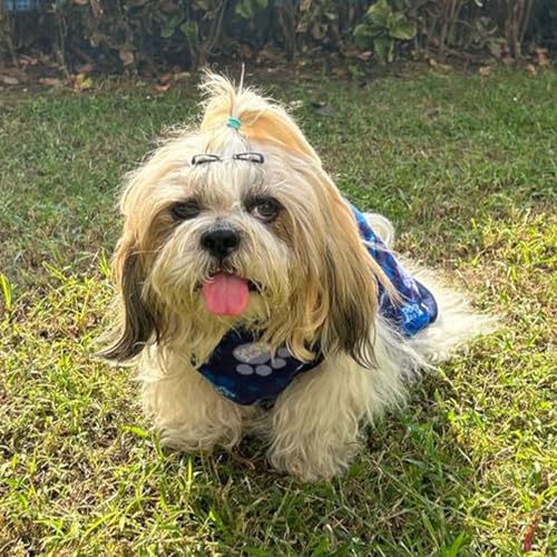 Lulala Dog Hoodie Fuzzy Dog Sweater with Leash Hole - Small Dog and Cat Clothes Warm Soft Cozy Hooded Sweatshirt for Winter. (Blue-8Inch) - Image 2