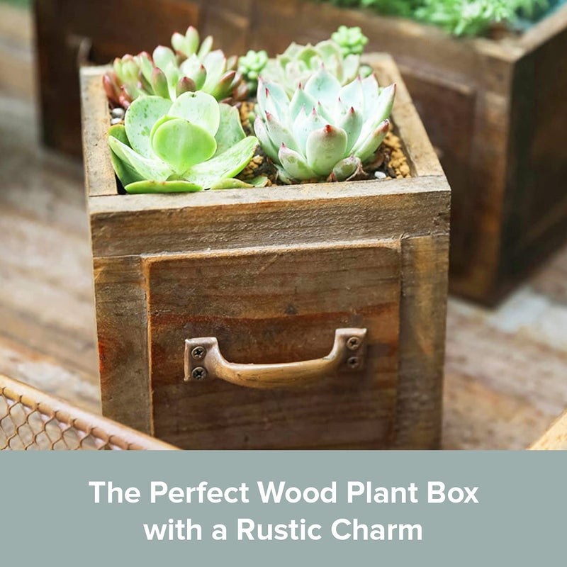 Primo Supply Country Style Wood Planter Box [1-Drawer] Rustic Wooden Flower Box - 5.5"x5.5" Square Planter - Small Wood Crates Unfinished Succulent Planters - Decorative Wooden Boxes for Flower Arrangements - Image 3