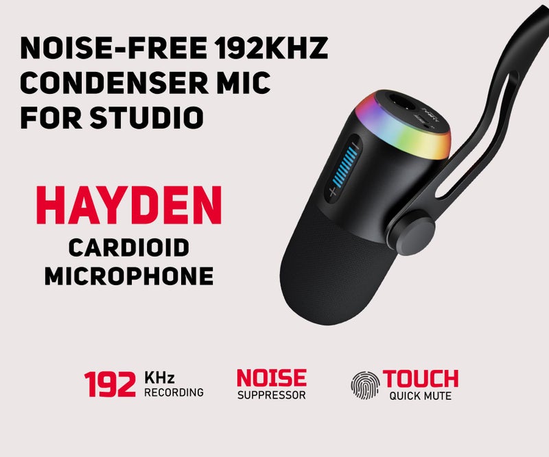 hayden HY-C45 Professional Condenser Microphone | Studio Mic 192kHz 24-Bit Recording with Type-C Output RGB Light Touch Mute AUX Monitoring Metal Stand for Singing Podcast Streaming Recording - Image 3