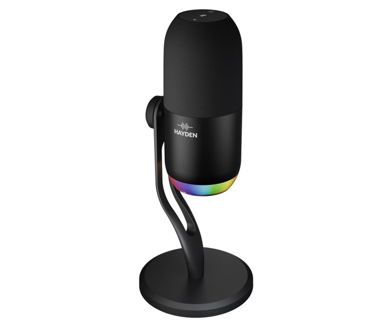 hayden HY-C45 Professional Condenser Microphone | Studio Mic 192kHz 24-Bit Recording with Type-C Output RGB Light Touch Mute AUX Monitoring Metal Stand for Singing Podcast Streaming Recording - Image 2