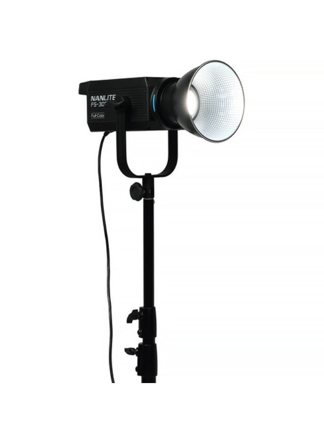 نانليت Nanlite FS-300C RGB LED Monolight - Image 2