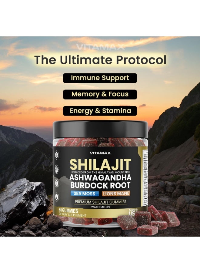 Bodywise Organic Shilajit Gummies, Sea Moss, Ashwagandha, 105+ Trace Minerals - Organic Burdock Root & Lions Mane Mushroom - Watermelon Flavor - Vegan & Non-GMO - Made in USA - 60ct - Image 2