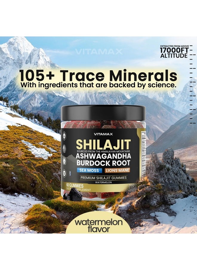 Vitamax - Organic Shilajit Gummies 1000mg, Sea Moss 400mg, Ashwagandha 1000mg, 105+ Trace Minerals - Organic Burdock Root & Lions Mane Mushroom - Watermelon Flavor - Vegan & Non-GMO - Made in USA - 60ct - Image 1