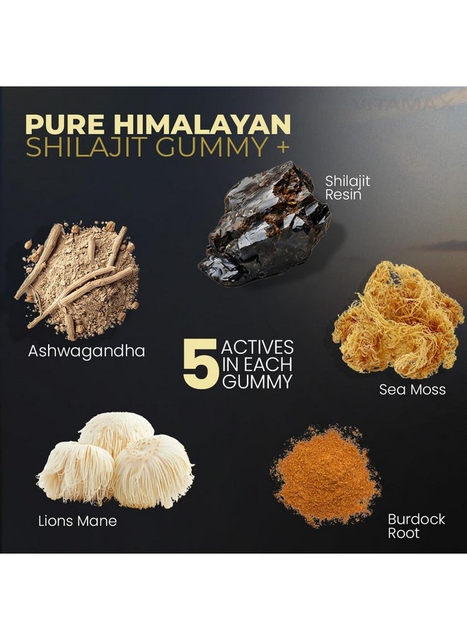 Vitamax - Organic Shilajit Gummies 1000mg, Sea Moss 400mg, Ashwagandha 1000mg, 105+ Trace Minerals - Organic Burdock Root & Lions Mane Mushroom - Watermelon Flavor - Vegan & Non-GMO - Made in USA - 60ct - Image 1