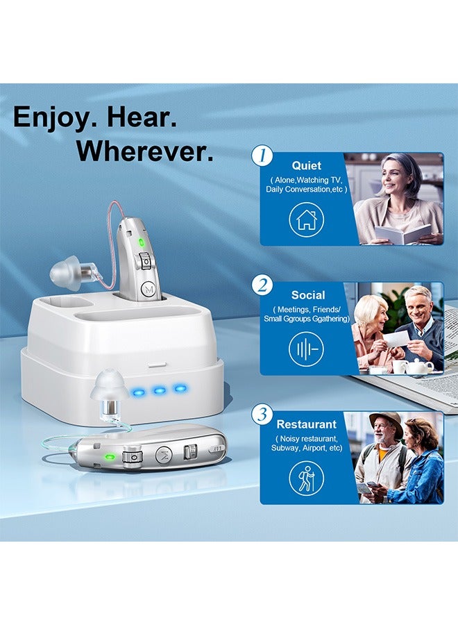 Rechargeable Hearing Aids, Invisible Behind The Ear Hearing Amplifiers, Magnetic Assistive Listening Devices for Adults and Seniors with Noise Cancelling (Silver)