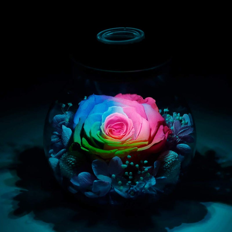roliys Preserved Real Roses with Colorful Mood Light Wishing Bottle Eternal Rose Never Withered Flowers for Bedroom Party Table Decor  Christmas Anniversary Valentine's Mother's Day  (Multi) - Image 4