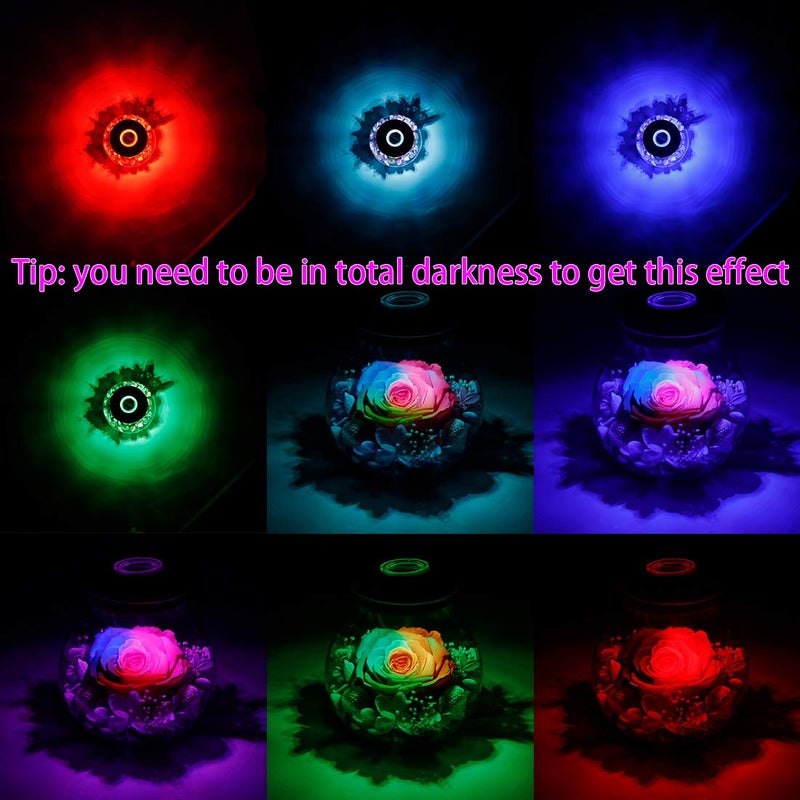 roliys Preserved Real Roses with Colorful Mood Light Wishing Bottle Eternal Rose Never Withered Flowers for Bedroom Party Table Decor  Christmas Anniversary Valentine's Mother's Day  (Multi) - Image 3