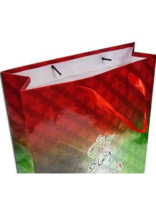 UAE Gift Bag 37.5x29x9CM Stylish and Durable Bag for National Day Celebrations and Gifting Lightweight Reusable and Spacious Design Perfect for Presents Souvenirs and Party Favors - Image 2