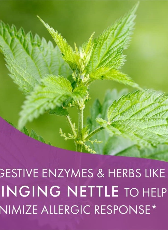 PURE ESSENCE LABS AllerFree Natural Allergy Support Supplement by Pure Essence Labs - Non Drowsy Pills for Sinus and Nasal Health Seasonal Allergies with Enzymes and Herbs - 60 Capsules - Image 4