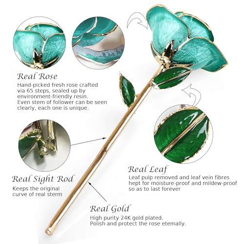 Sinvitron Gold Dipped Rose 24K Real Rose, Long Stem 24k Gold Plated Rose with Stand, Birthday Gift for Women,Gifts for Mom, Dipped Gold Rose for Anniversary, Mothers and Valentines Day (Light Blue) - Image 2
