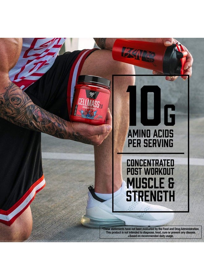 BSN - Cellmass 2.0 Post Workout Recovery With Bcaa Creatine & Glutamine Keto Friendly Arctic Berry (25 Servings) (1048058) - Image 1