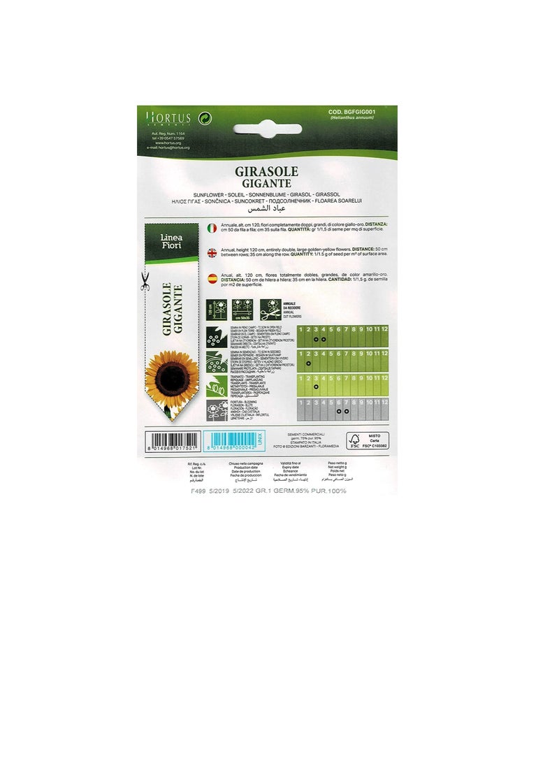 Generic Hortus Sementi Sunflower Seeds  - Image 3