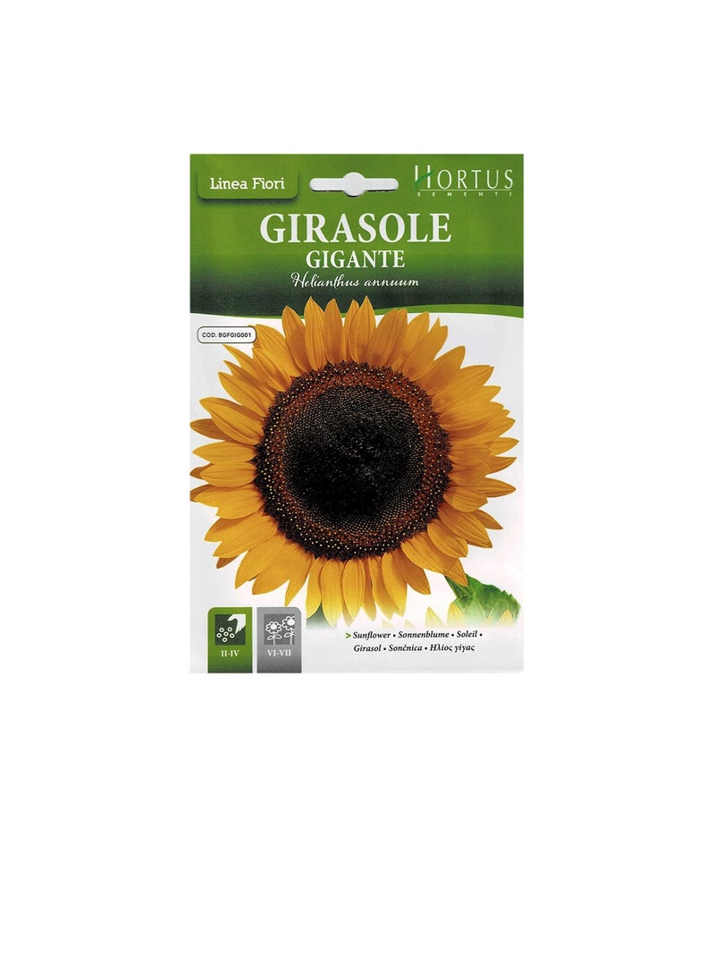 Generic Hortus Sementi Sunflower Seeds  - Image 2