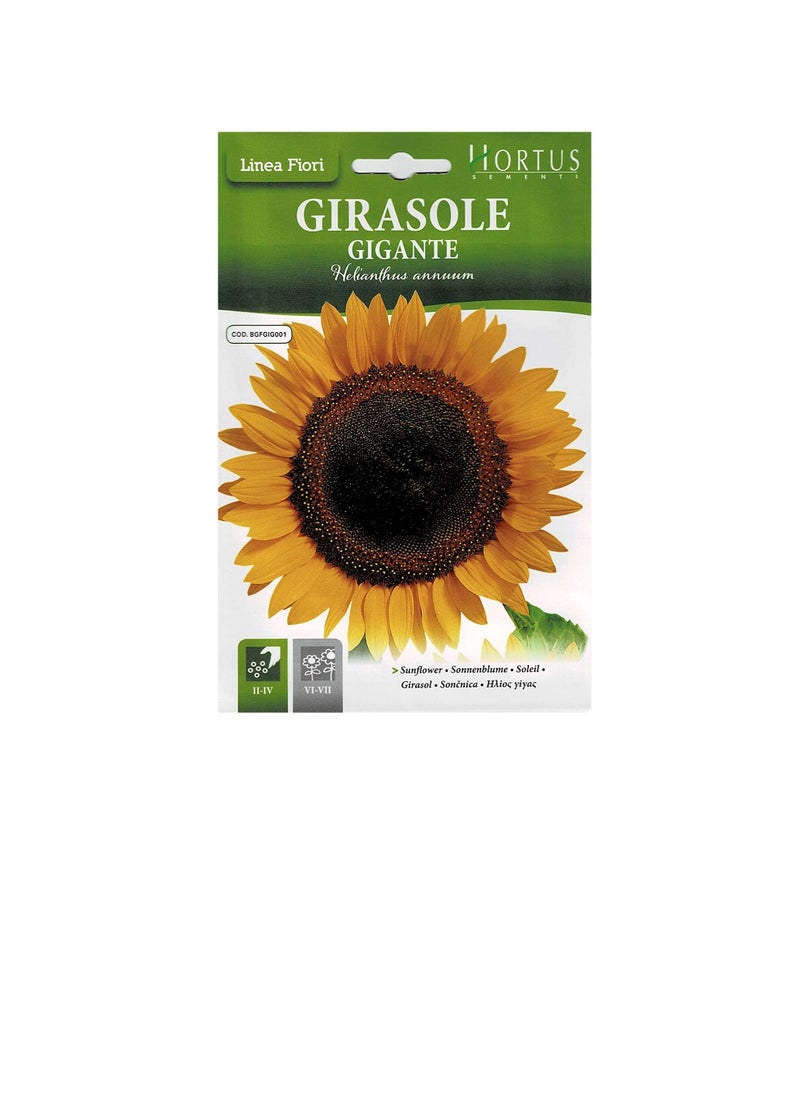 Generic Hortus Sementi Sunflower Seeds  - Image 1