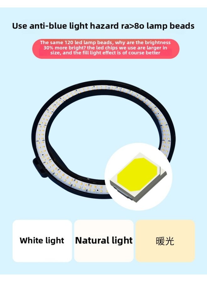 10-Inch Ring Light Selfie Beauty Lighting Kit LED Ring Light For Broadcasters Mobile Phone Photography And Live Streaming-Color:10 Inch Fill Light Desktop Round Cake Bracket - Image 3