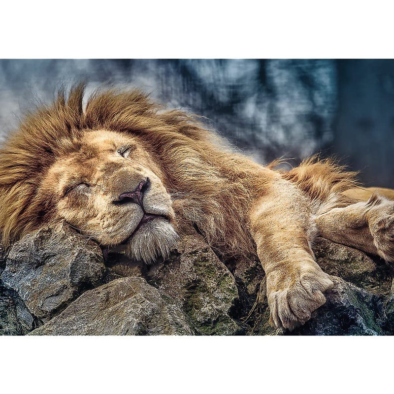 Trefl Sleeping Lion 1000 Piece Jigsaw Puzzle Red 27"x19" Print, DIY Puzzle, Creative Fun, Classic Jigsaw for Adults and Children from 14 Years Old - Image 2