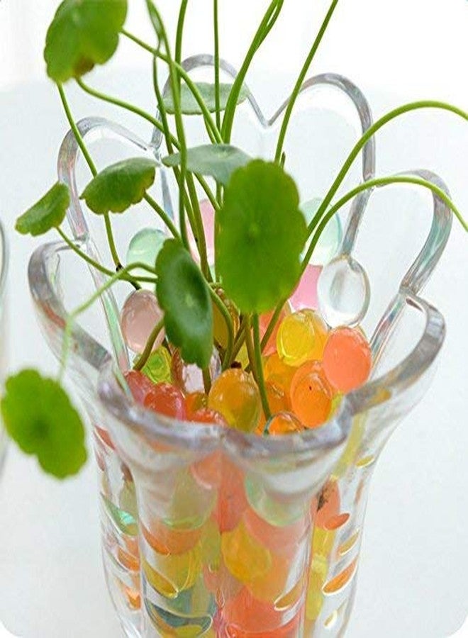 VO design Promote Trader Water Jelly Ball Crystal Mud Soil Gel Beads Magic Balls Colorful Beads For Modern Flower Vase/Aquarium Décor (12 Oz Pack) - Image 5