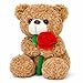 Aqushymallow Cow Teddy Bear Plush Toy Hugging a Red Rose or a Heart Romantic Teddy Bear Plush Doll Valentines Day Birthday Girls Gift Brown Bear Rose - Image 4