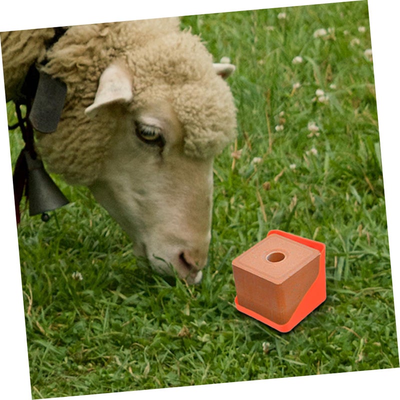 Heavy Duty Salt Lick Feeder Tray for Cattle Sheep Goats Farm Use Easy Transport - Image 5